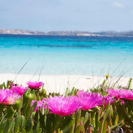 Toro Flat I 15' Palau, 30' Porto Cervo & Free Parking * Porto Pozzo