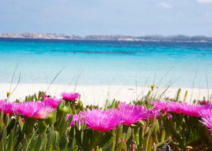 Toro Flat I 15' Palau, 30' Porto Cervo & Free Parking * Porto Pozzo
